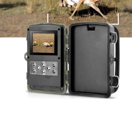 Wild hunting camera