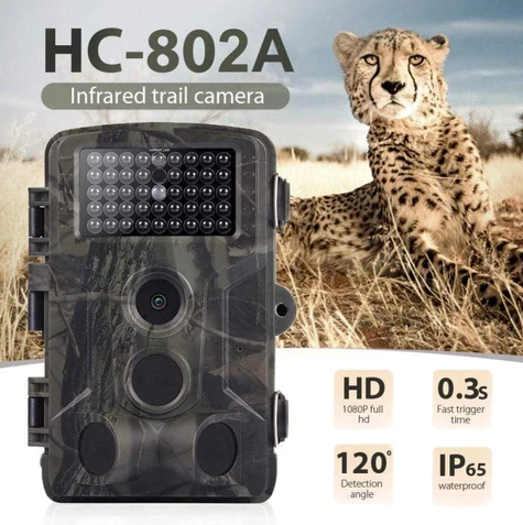 Wild hunting camera
